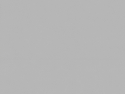 花纹壁纸_墙纸_墙布无缝贴图下载-1