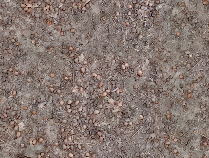 泥巴地面无缝贴图下载-1