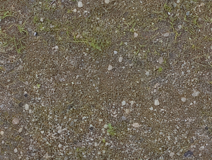 草皮地面无缝贴图下载-1