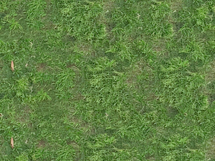 草皮地面无缝贴图下载-1