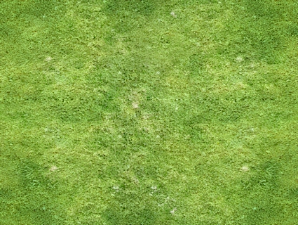 草皮地面无缝贴图下载-1
