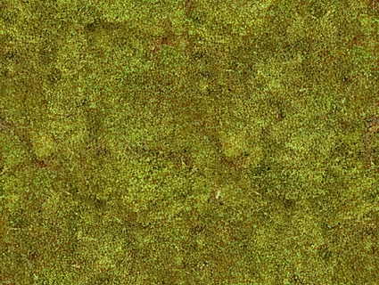 草皮地面无缝贴图下载-1