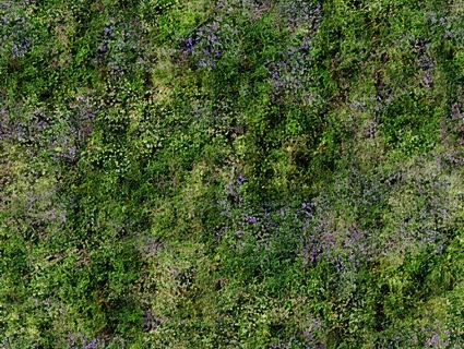 草皮地面无缝贴图下载-1