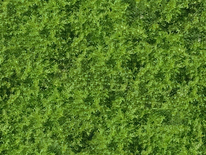 草皮地面无缝贴图下载-1