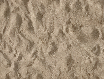 沙滩无缝贴图下载-1