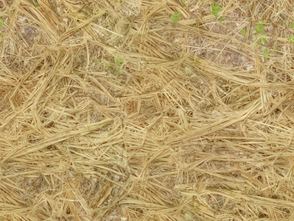 木屑无缝贴图下载-1