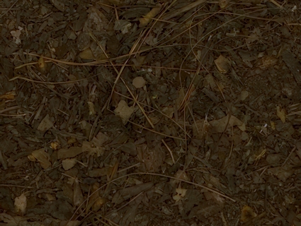 木屑无缝贴图下载-1