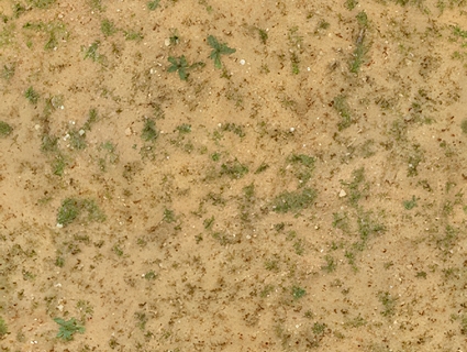 草皮地面无缝贴图下载-1