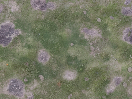草皮地面无缝贴图下载-1