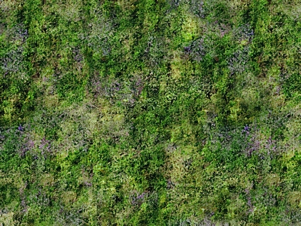 草皮地面无缝贴图下载-1