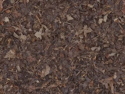 草皮地面无缝贴图下载-1