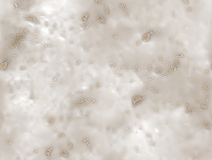 泥巴地面无缝贴图下载-1