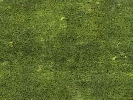 草皮地面无缝贴图下载-1