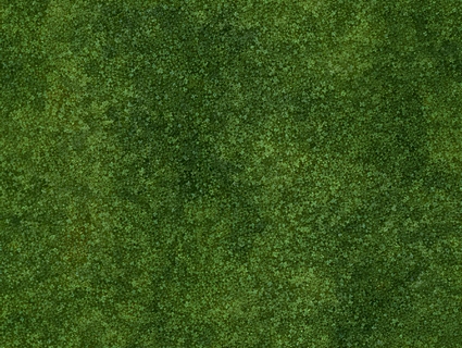 草皮地面无缝贴图下载-1