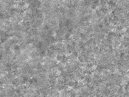 草皮地面无缝贴图下载-1