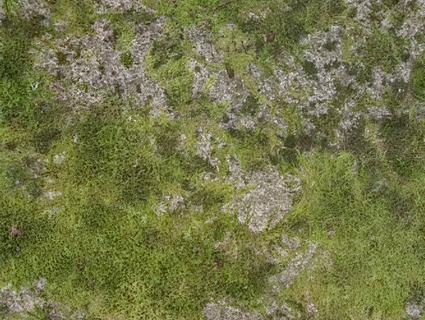草皮地面无缝贴图下载-1