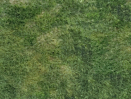 草皮地面无缝贴图下载-1