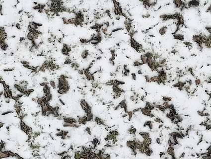 雪地无缝贴图下载-1
