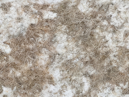雪地无缝贴图下载-1