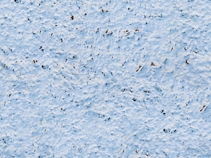 雪地无缝贴图下载-1