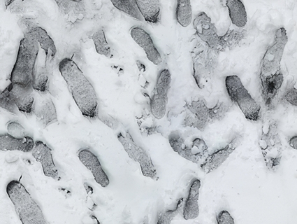 雪地无缝贴图下载-1
