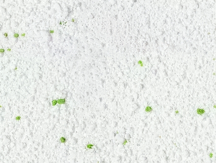 雪地无缝贴图下载-1