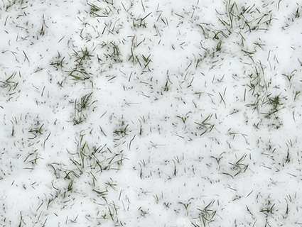 雪地无缝贴图下载-1
