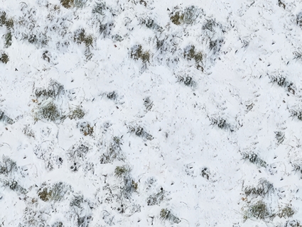 雪地无缝贴图下载-1