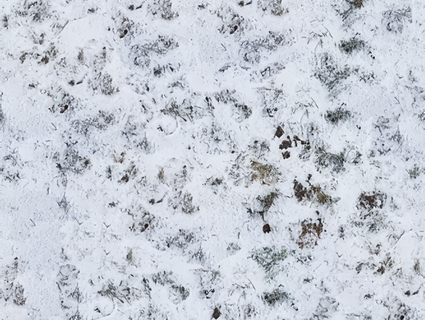 雪地无缝贴图下载-1