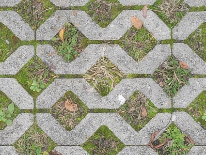 植草砖无缝贴图下载-1