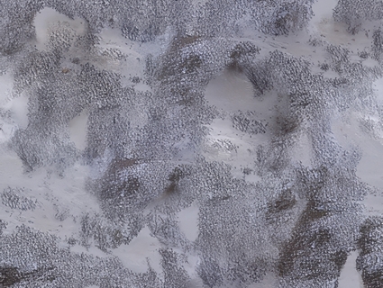 雪地无缝贴图下载-1