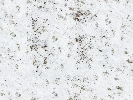 雪地无缝贴图下载-1