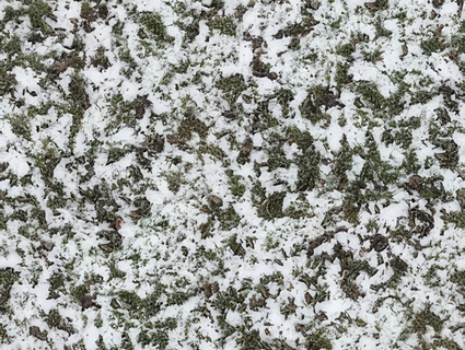雪地无缝贴图下载-1