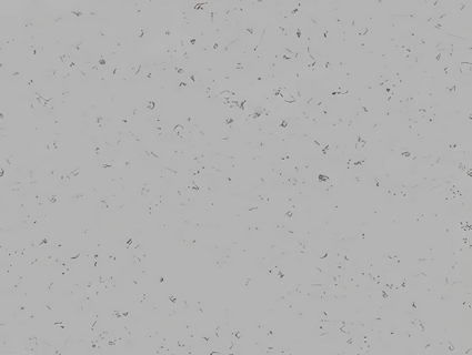 雪地无缝贴图下载-1