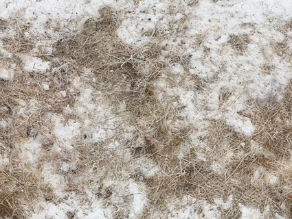 雪地无缝贴图下载-1