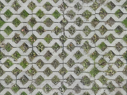植草砖无缝贴图下载-1