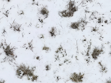 雪地无缝贴图下载-1