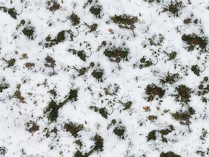 雪地无缝贴图下载-1