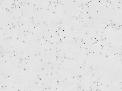 雪地无缝贴图下载-1