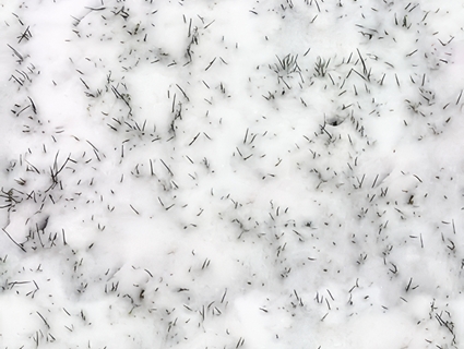 雪地无缝贴图下载-1