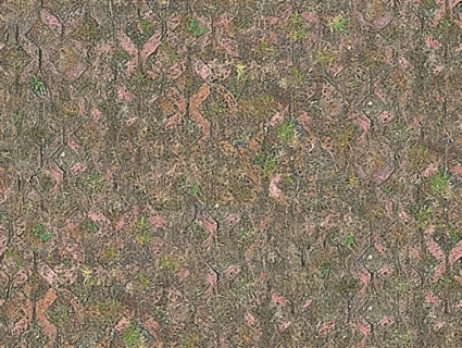 植草砖无缝贴图下载-1