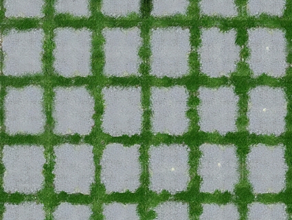 植草砖无缝贴图下载-1