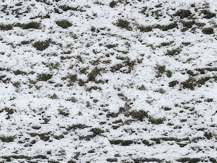 雪地无缝贴图下载-1
