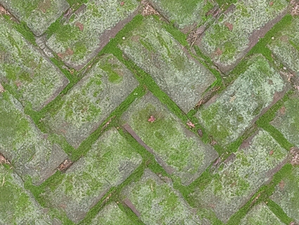 植草砖无缝贴图下载-1