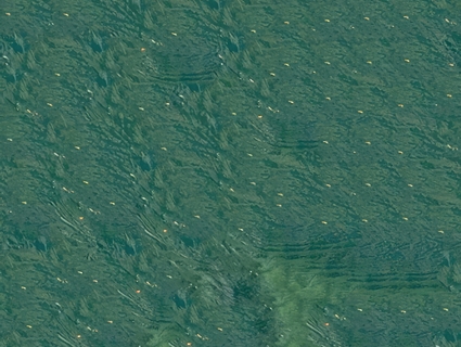 水纹无缝贴图下载-1