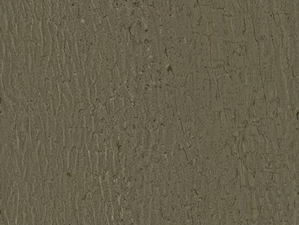 树皮无缝贴图下载-1