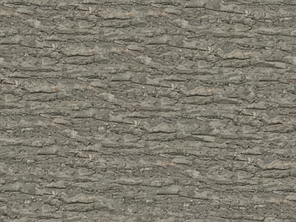 树皮无缝贴图下载-1