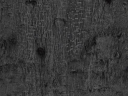 树皮无缝贴图下载-1