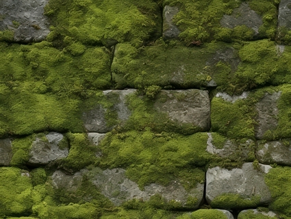 苔藓无缝贴图下载-1