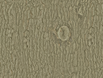 树皮无缝贴图下载-1